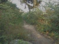 /album/campo-grande/dcam0029-jpg/