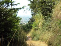 /album/campo-grande/dsc09627-jpg/