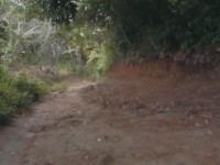 /album/campo-grande/dcam0093-jpg/