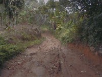 /album/campo-grande/dcam0095-jpg/